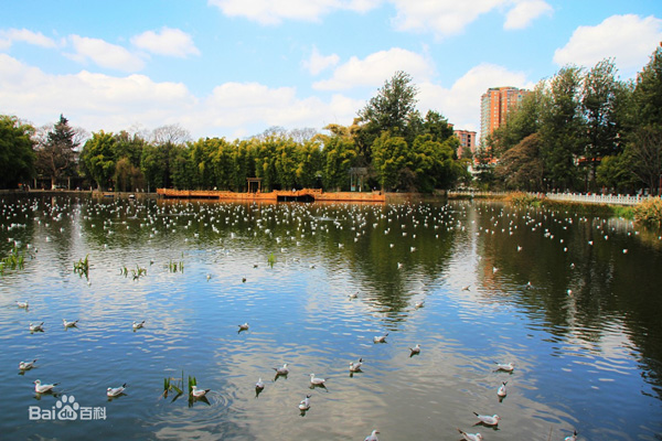 北京翠湖濕地公園水質(zhì)提升項目